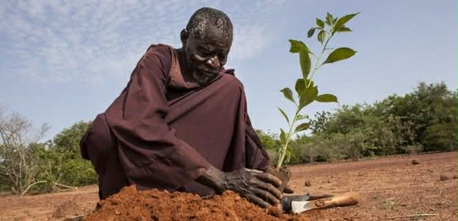 Journée mondiale de lutte contre la désertification : le Mali face à la dégradation des terres