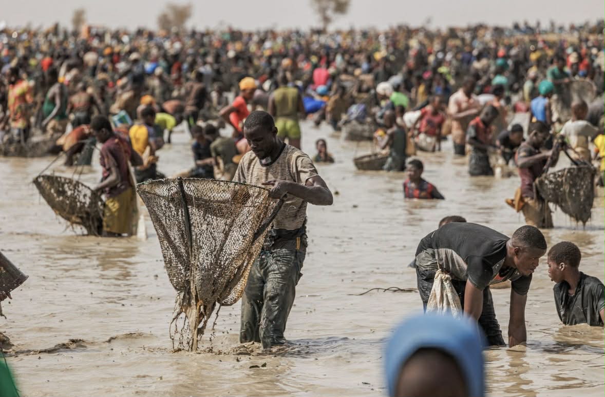 Sanké Mô 2026 : 626 ans de tradition face aux enjeux de la mare Sanké