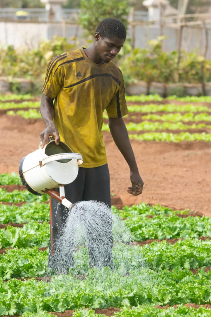 Makan Traoré, jeune maraîcher à Bamako